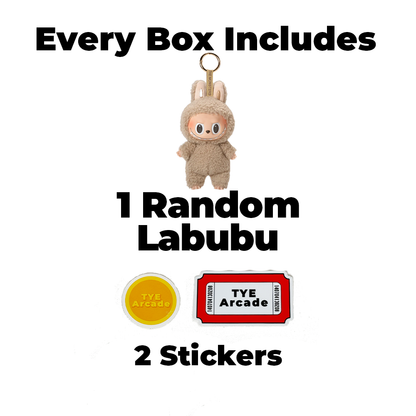 Labubu Mystery Box
